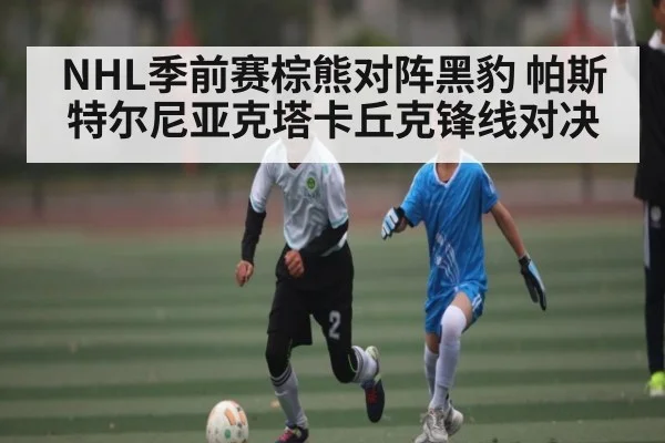 NHL季前赛棕熊对阵黑豹 帕斯特尔尼亚克塔卡丘克锋线对决（kaiyun）